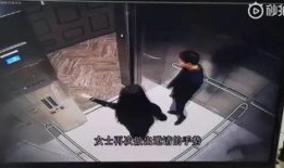 莱西摄影师爆料案件视频,视频曝光惊人真相